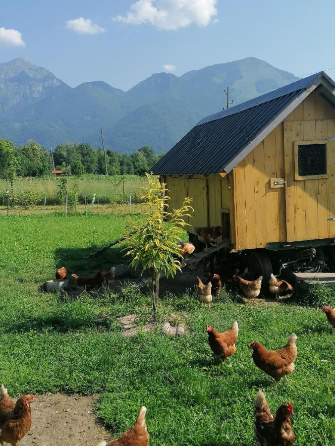 Glamping Mohorjev Grunt Hotel Preddvor Kültér fotó